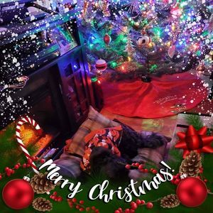 Meet your Posher, Jared